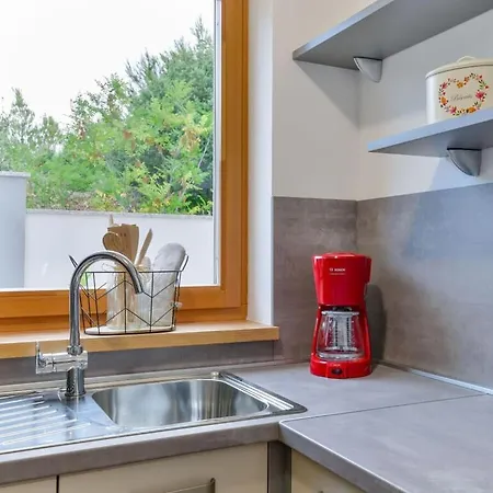 New With Pool And Roof Terrace Zaton (Zadar)
